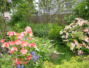 gladrags-garden-april.jpg