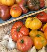 heirloom tomato