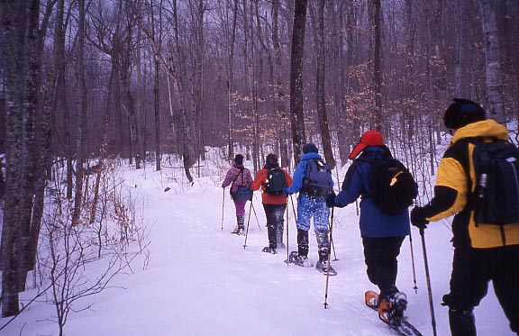 vermont_snowshoeing.jpg