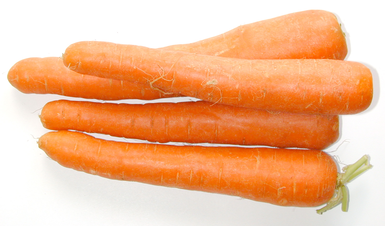 foodcarrot0979.jpg