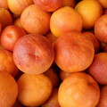prod_11702_12240_l.jpg