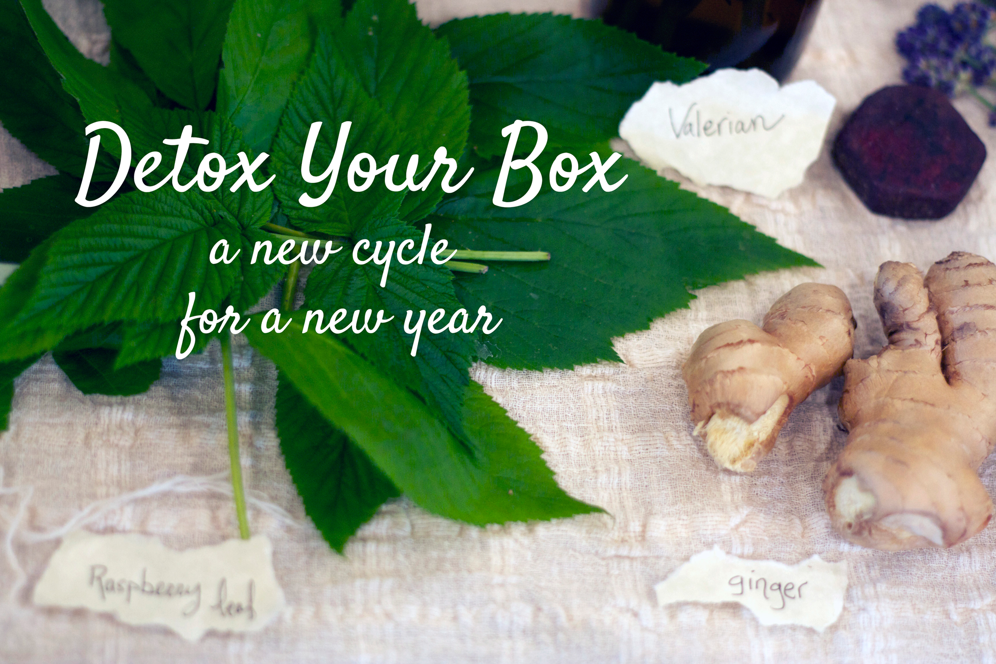 DetoxBox
