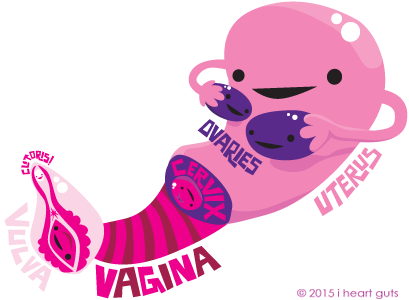 Image credit to I Heart Guts